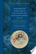 Anarchism and syndicalism in the colonial and postcolonial world, 1870-1940 : the praxis of national liberation, internationalism, and social revolution / edited by Steven Hirsch, Lucien van der Walt.
