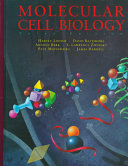 Molecular cell biology / Harvey Lodish ... [et al.].