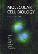 Molecular cell biology. / Harvey Lodish ... [et al.].