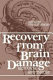 Recovery from brain damage : research and theory / edited by Stanley Finger.