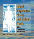 School experiences of gay and lesbian youth : the invisible minority / Mary B. Harris, editor.