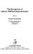 The dynamics of labour market segmentation / (Second Conference of the International Working Party on Labour Market Segmentation held at the Freie Universität, West Berlin, 7 to 11 July, 1980) ; edited by Frank Wilkinson.