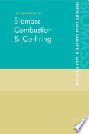 The handbook of biomass combustion and co-firing edited by Jaap Koppejan and Sjaak van Loo.