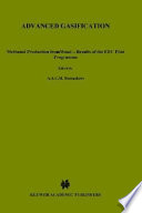 Advanced gasification : methanol production from wood - results of the EEC pilot programme / edited by A.A.C.M. Beenackers and W. Van Swaay.