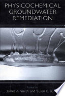 Physicochemical groundwater remediation / edited by James A. Smith and Susan E. Burns.