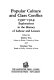 Popular culture and class conflict 1590-1914 : explorations in the history of labour and leisure / edited by Eileen Yeo and Stephen Yeo.