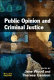 Public opinion and criminal justice / edited by Jane Wood and Theresa Gannon.