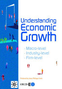 Understanding economic growth : macro-level, industry-level, firm-level.