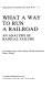 What a way to run a railroad : an analysis of radical failure / by Charles Landry ... (et al.).