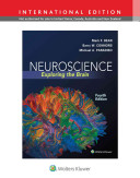 Neuroscience : exploring the brain / Mark F. Bear, Ph.D., Barry W. Connors, Ph.D., Michael A. Paradiso, Ph.D.