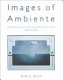 Images of ambiente : homotextuality and Latin American art, 1810-today / Rudi C. Bleys.