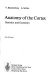 Anatomy of the cortex : statistics and geometry / V. Braitenberg, A. Schüz..