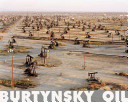 Burtynsky : oil / photographs, Edward Burtynsky ; essays by Michael Mitchell, William E. Rees, Paul Roth.