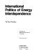 International politics of energy interdependence : the case of petroleum / (by) Nazli Choucri, with Vincent Ferraro.