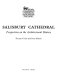 Salisbury Cathedral : perspectives on the architectural history / Thomas Cocke and Peter Kidson.