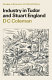 Industry in Tudor and Stuart England / prepared for the Economic History Society by D.C. Coleman.