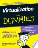 Virtualization for dummies by Bernard Golden.