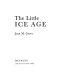 The little Ice Age / Jean M. Grove.