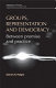 Groups, representation and democracy : between promise and practice / Darren Halpin.