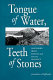 Tongue of water, teeth of stones : Northern Irish poetry and social violence / Jonathan Hufstader.