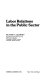 Labor relations in the public sector / by Richard C. Kearney.