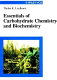Essentials of carbohydrate chemistry and biochemistry / Thisbe K. Lindhorst.
