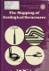 The mapping of geological structures / K.R. McClay.