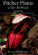 Pitcher plants of the Old World. Stewart McPherson ; edited by Alastair Robinson and Andreas Fleischmann.