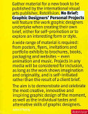 No brief : graphic designers' personal projects / John O'Reilly ; CD and image compilation with Roger Fawcett-Tang.
