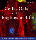 Cells, gels and the engines of life : a new, unifying approach to cell function / Gerald H. Pollack.