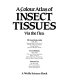A colour atlas of insect tissues : via the flea / Miriam Rothschild, Yosef Schlein, Susumo Ito.