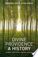 Divine providence a history : the Bible, Virgil, Orosius, Augustine, and Dante / Brenda Deen Schildgen.