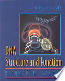 DNA structure and function / Richard R. Sinden.