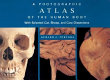 A photographic atlas of the human body : with selected cat, sheep, and cow dissections / Gerard J. Tortora.