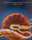 Molecular and cellular biology / Stephen L. Wolfe.