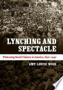 Lynching and spectacle witnessing racial violence in America, 1890-1940 / Amy Louise Wood.