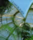 Glass houses : a history of greenhouses, orangeries and conservatories / May Woods and Arete Swartz Warren.